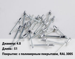 Заклепка 4.8х51 с полимерным покрытием, RAL 3005, упаковка 1000 шт, вытяжная цена от 1999 Тг / шт, где купить, условия доставки в Кызылорде и Кызылординской области